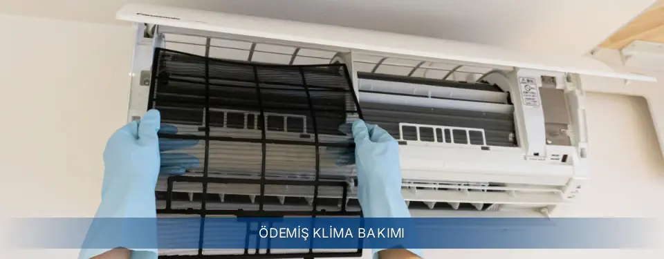 Ödemiş İlçemi Electrolux Klima Bakımı