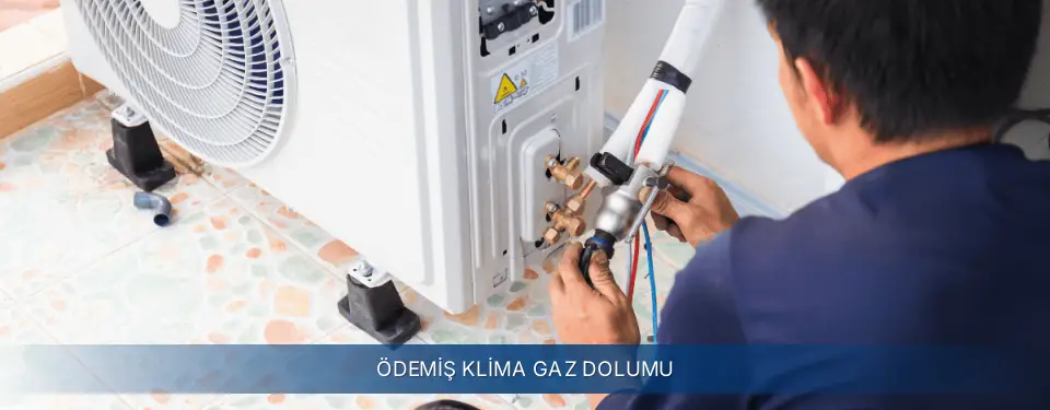 Ödemiş İlçemi Electrolux Klima Gaz Dolumu