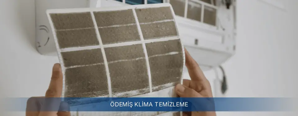 Ödemiş İlçemi Electrolux Klima Temizleme